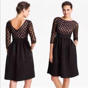 Eliza J Dot Mesh Bodice Fit and Flare Dress